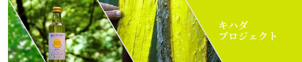 キハダプロジェクト