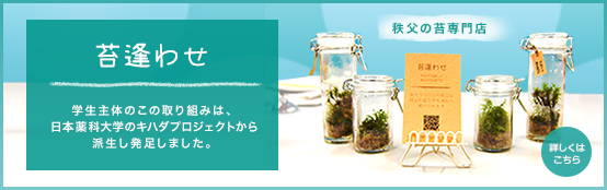 苔逢わせ　日本薬科大学