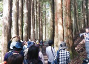 薬用林産資源の現地調査